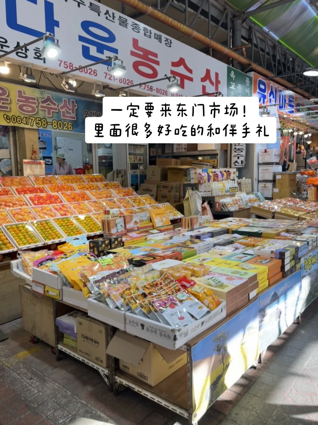 济州岛?️出片机位分享～附一些plog?