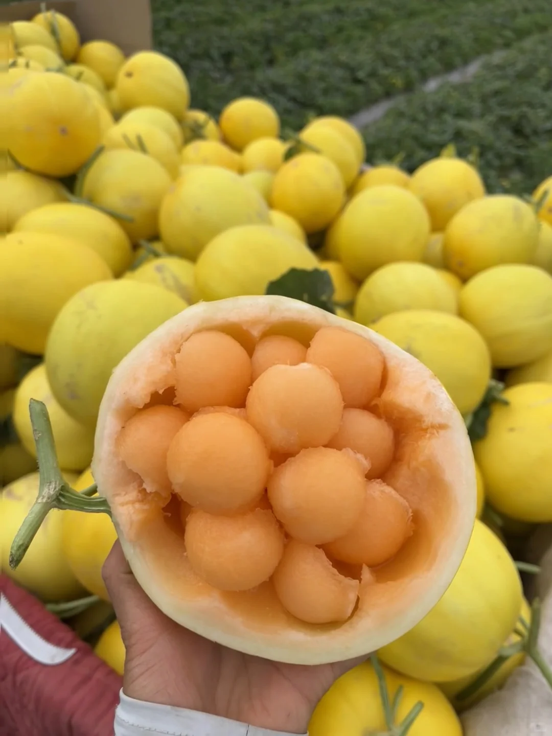 后来我才明白,一代人有一代人的牢笼!