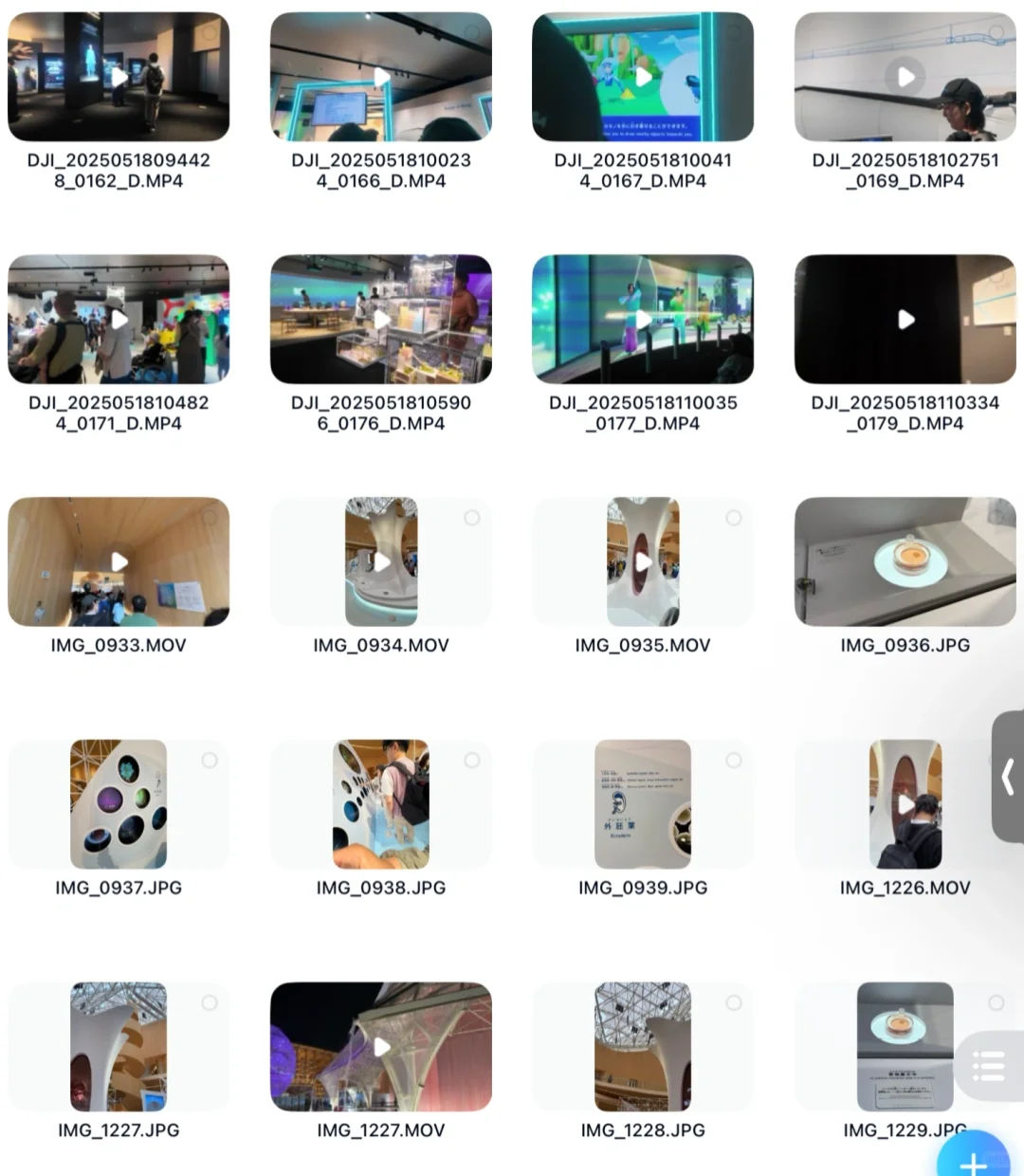 (还)没去大阪世博会的朋友们看过来