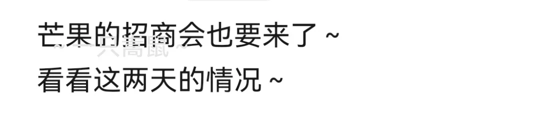 芒果的招商会也要来了～看看这两天的情况～