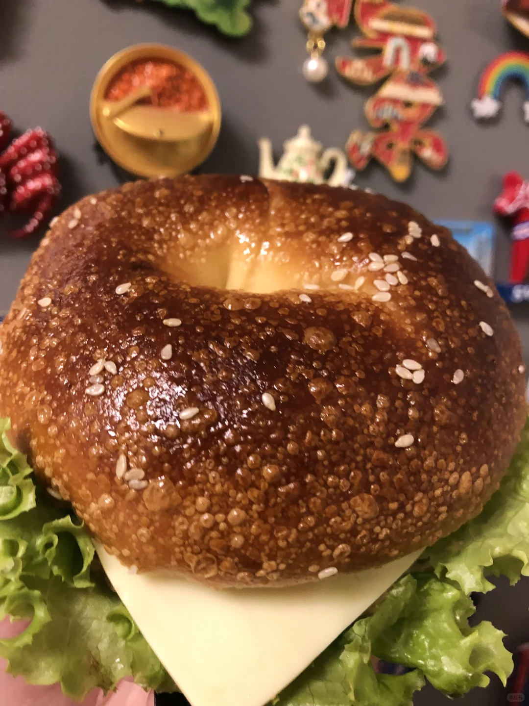 都市心语?毛毛虫?金枪鱼贝果?