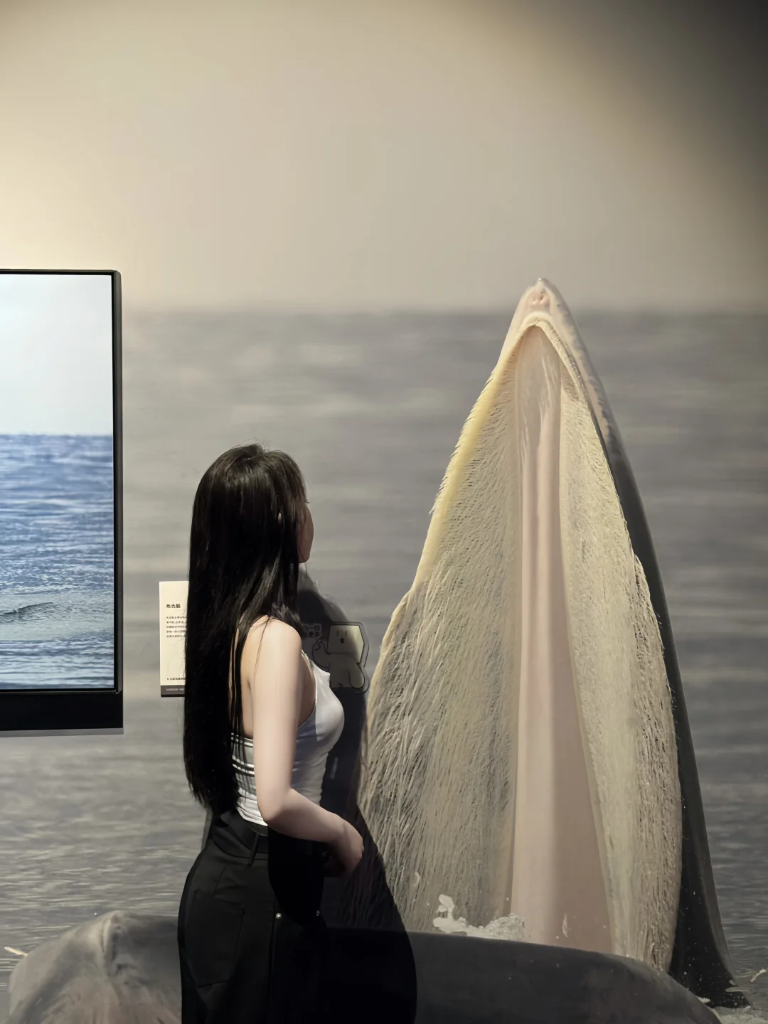 那些我没去过的地方，中国国家地理替我去了✨