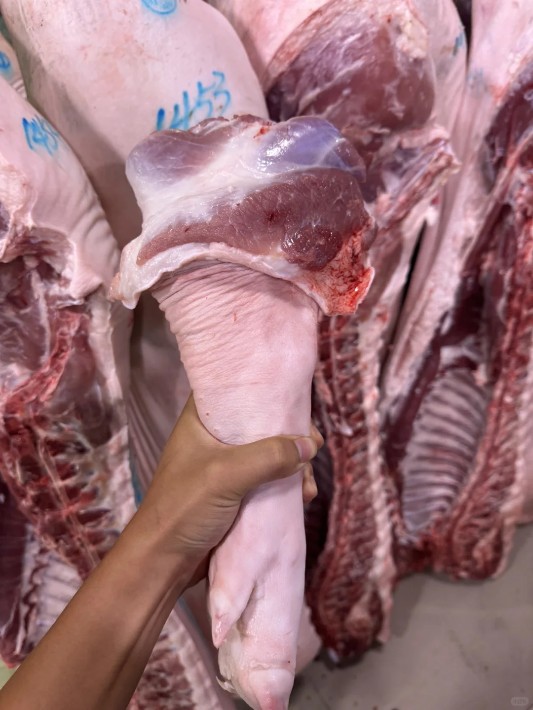 社区团购团长招募