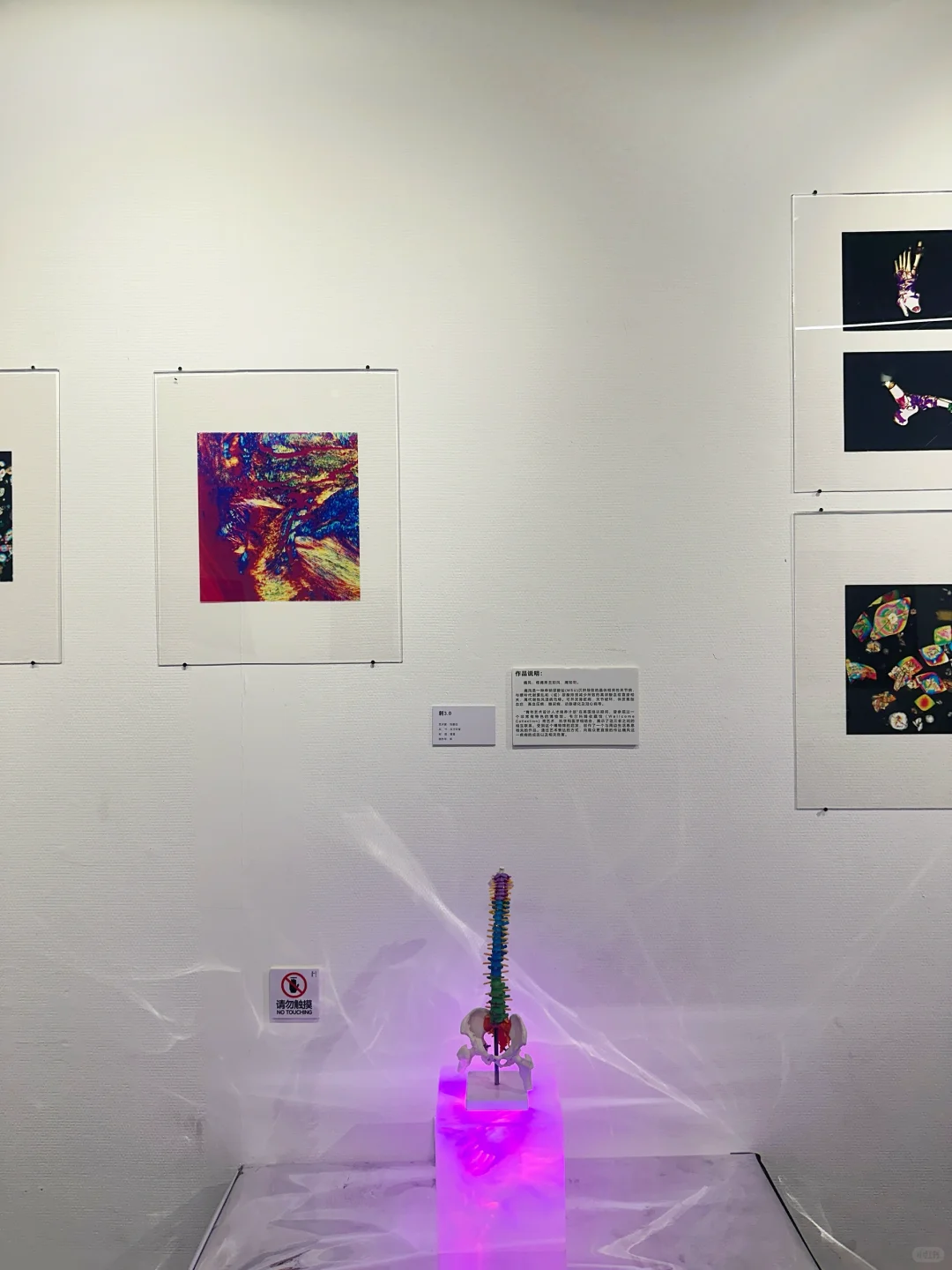 深圳新展?交互！在展览里找到你自己的答案