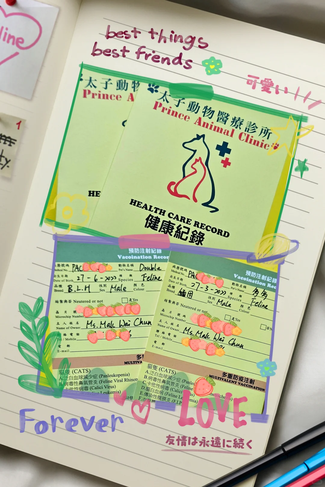 2025香港猫迷博覽會