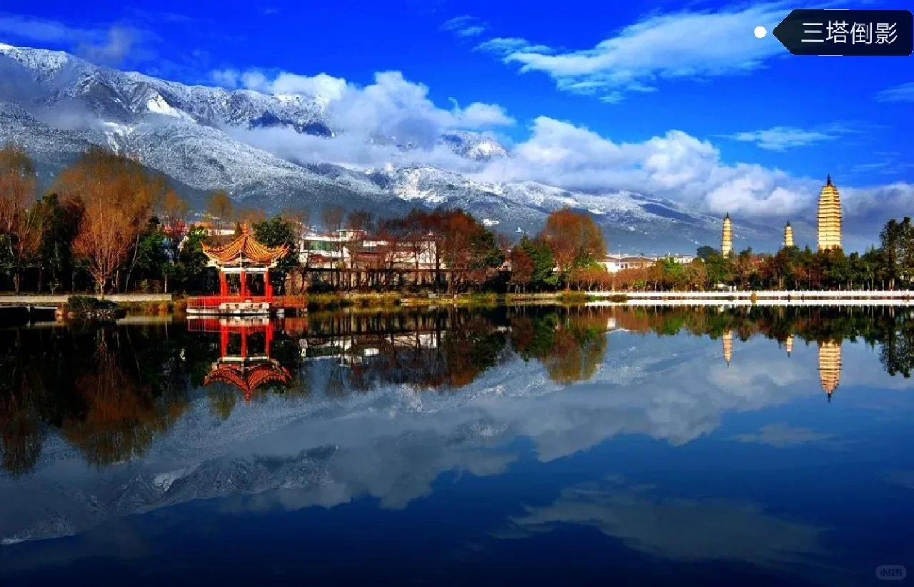 招商推介会浪漫致辞:去有风的地方追风赶月