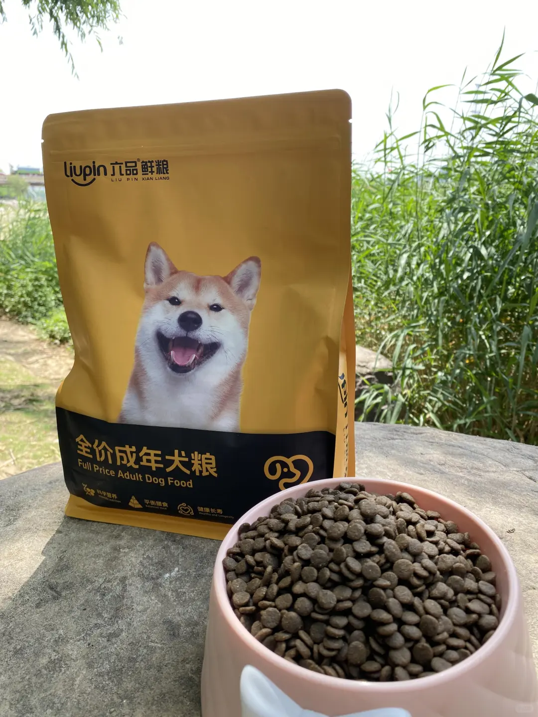 武汉会展，你来吗??