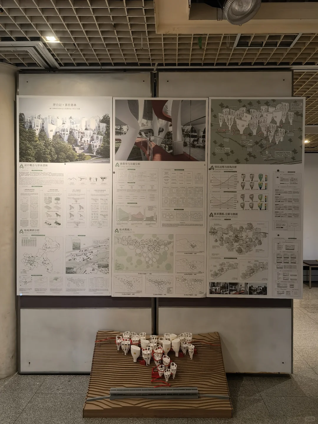 2025天津大学建筑学院本科毕业设计展