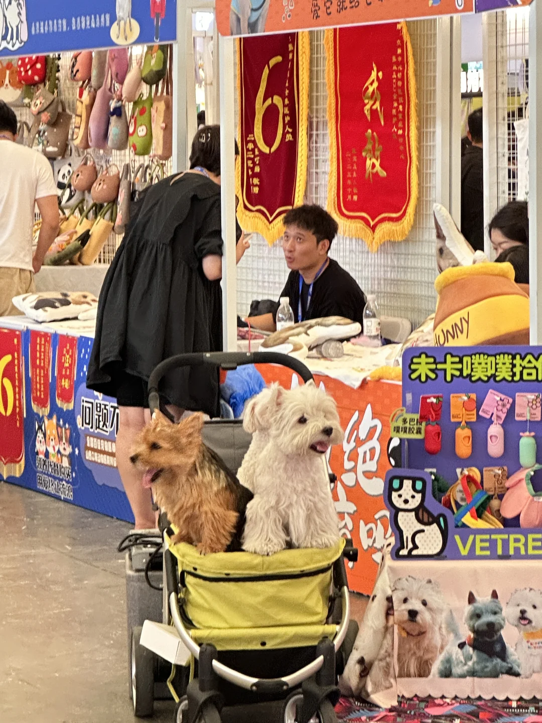 脚走穿了才总结出今年亚宠展?玩法