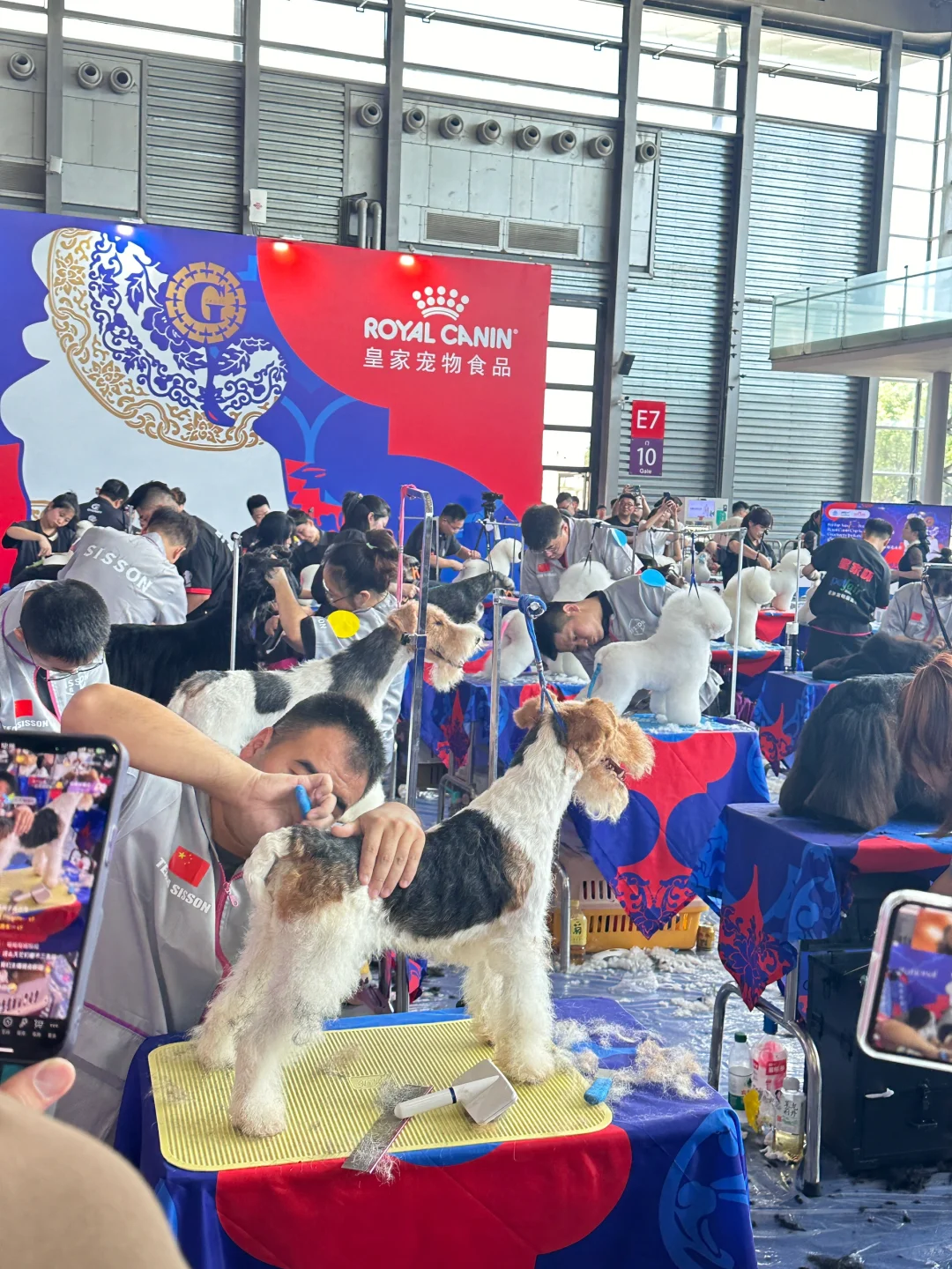 脚走穿了才总结出今年亚宠展?玩法