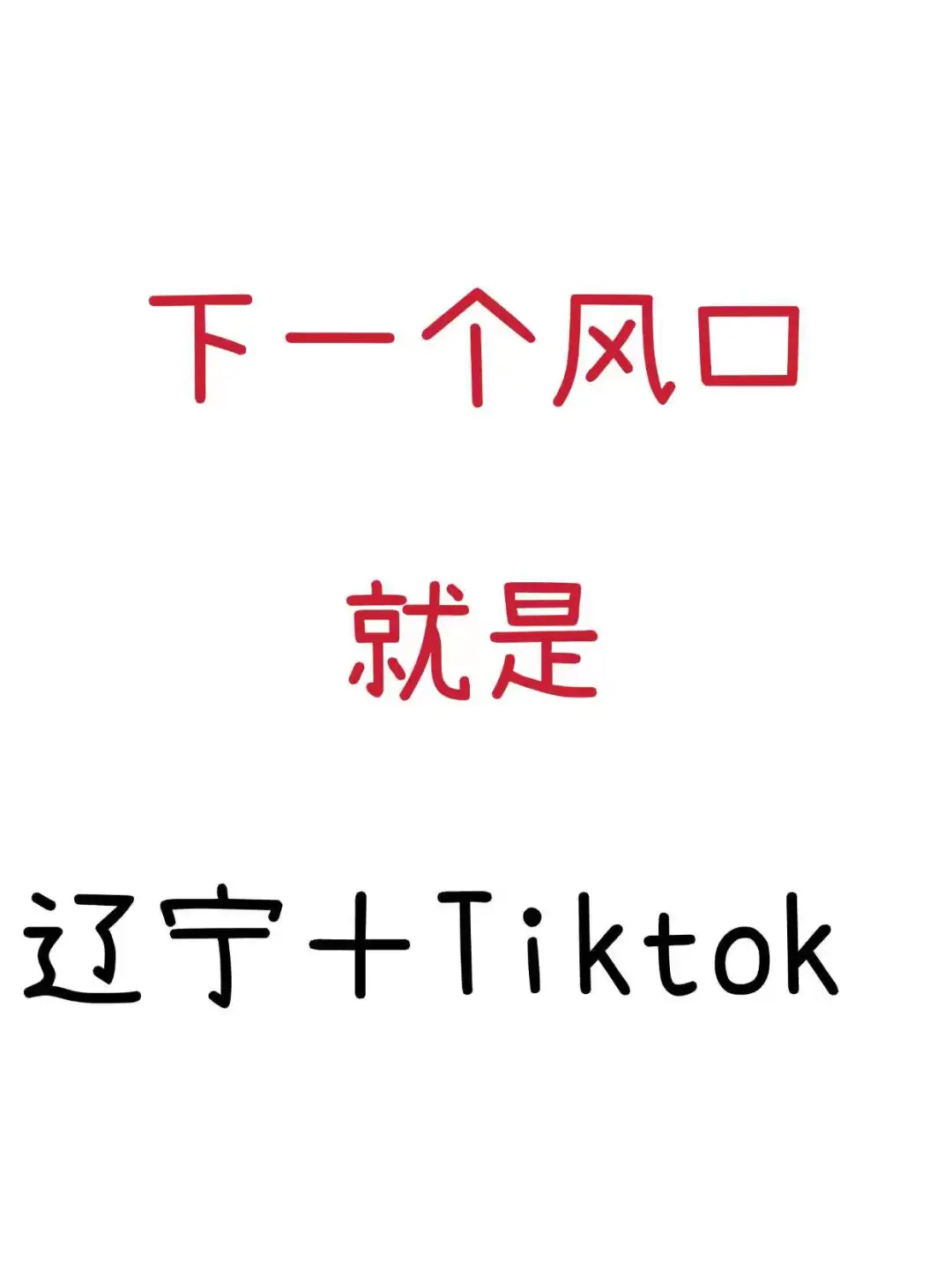 下一个风口就是辽宁+TikTok