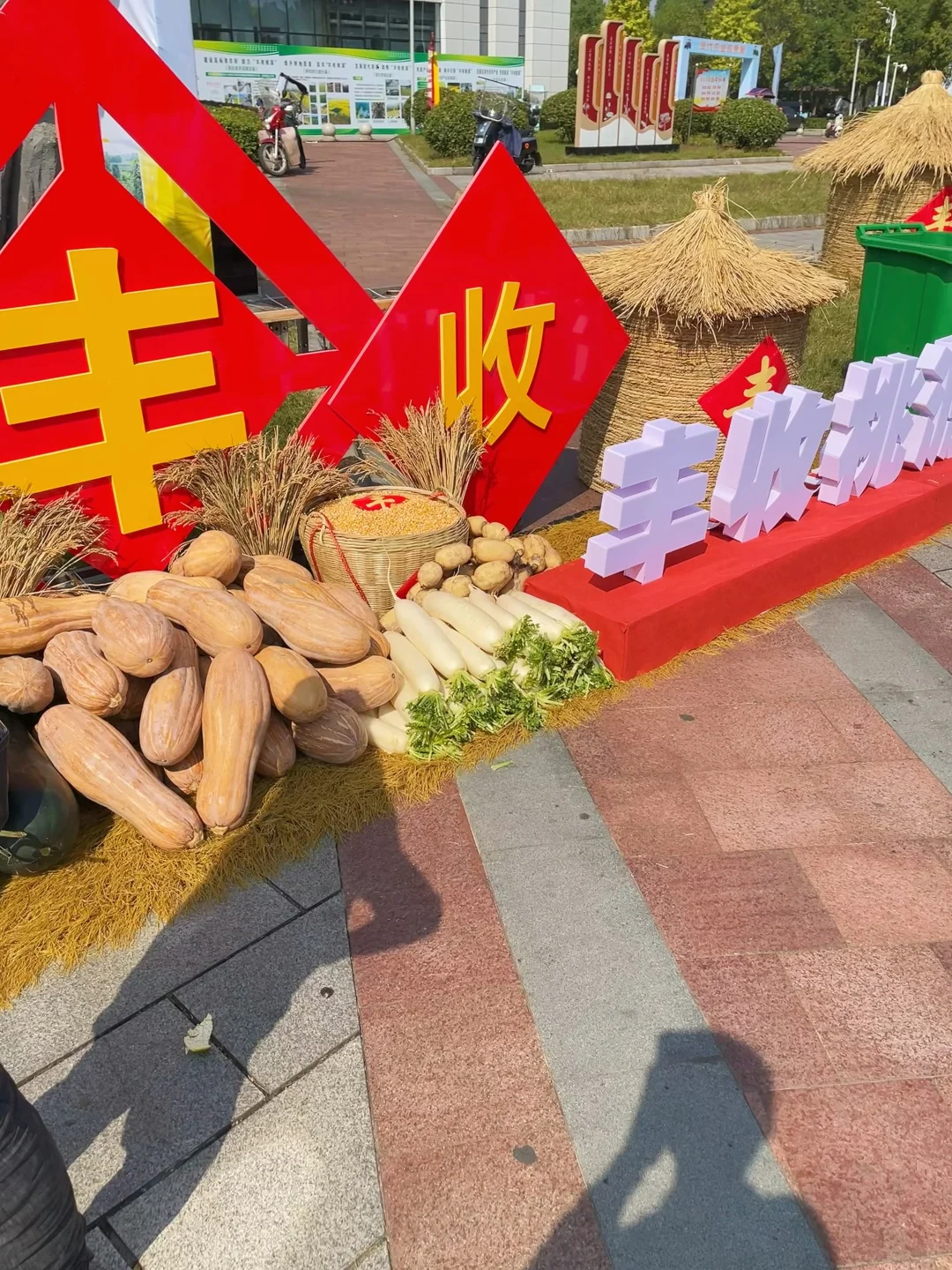 逛逛县城的丰收节