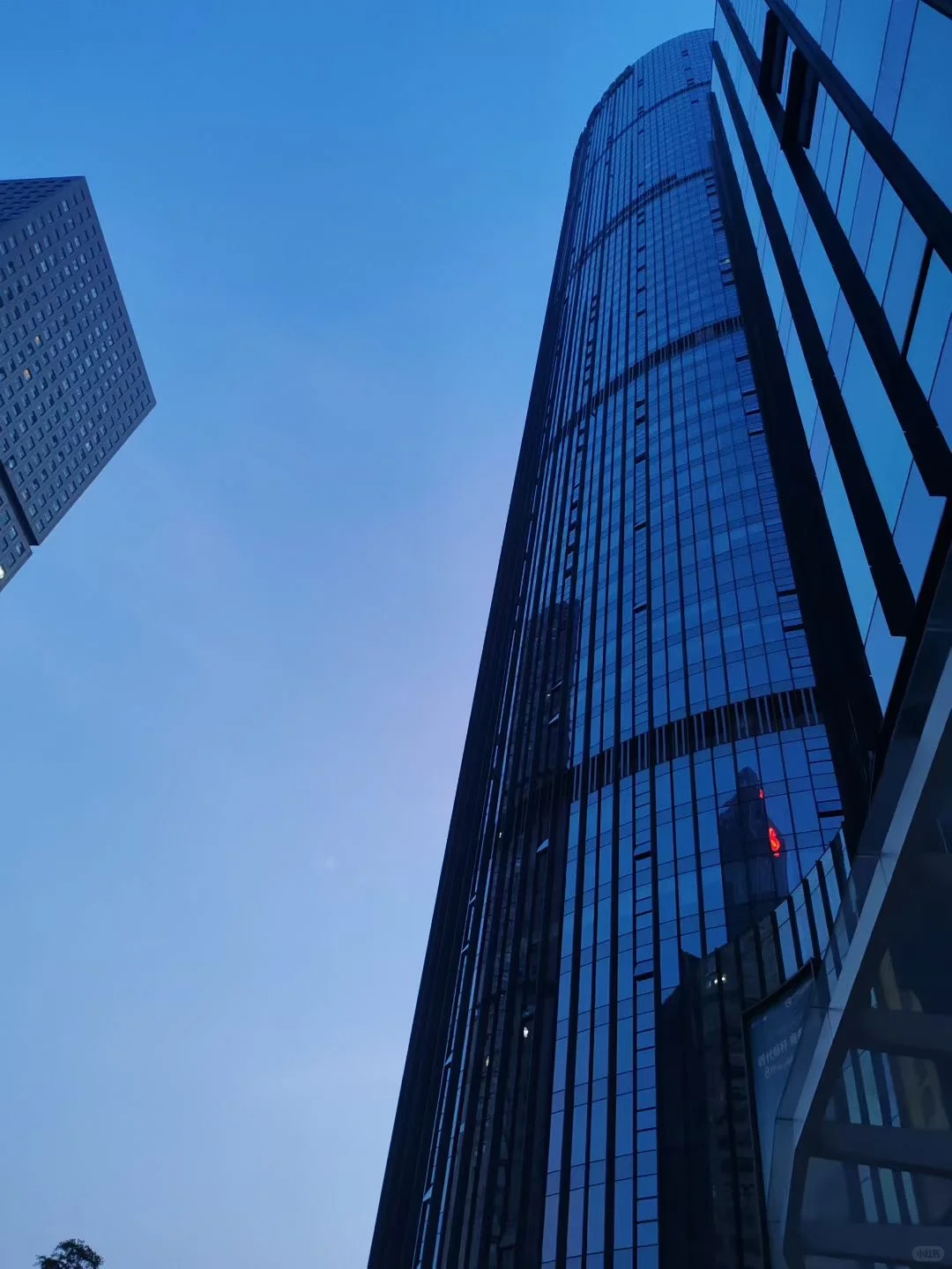 跨境电商想好了再入行