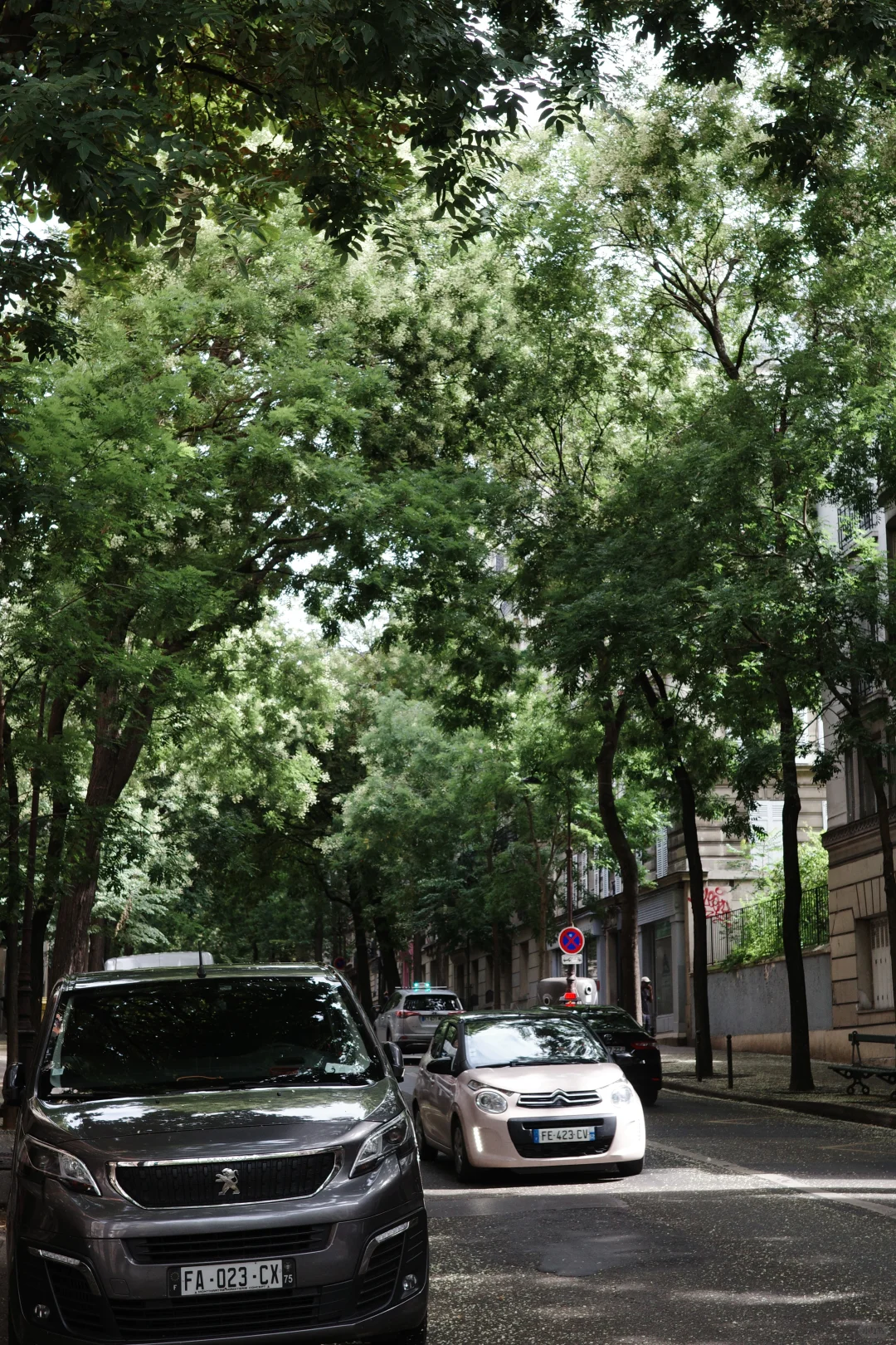 法国人的穿衣自由真的很法兰西！