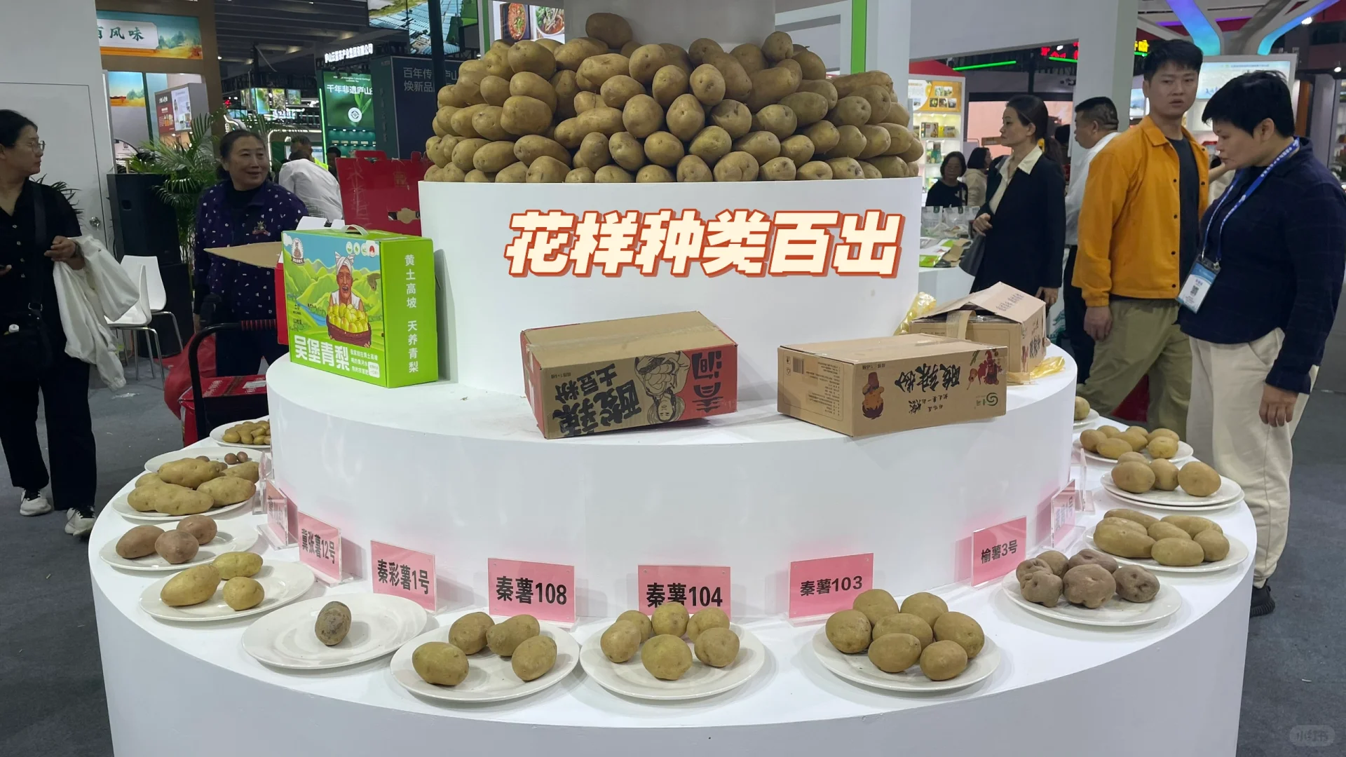 农交会真挺好逛的