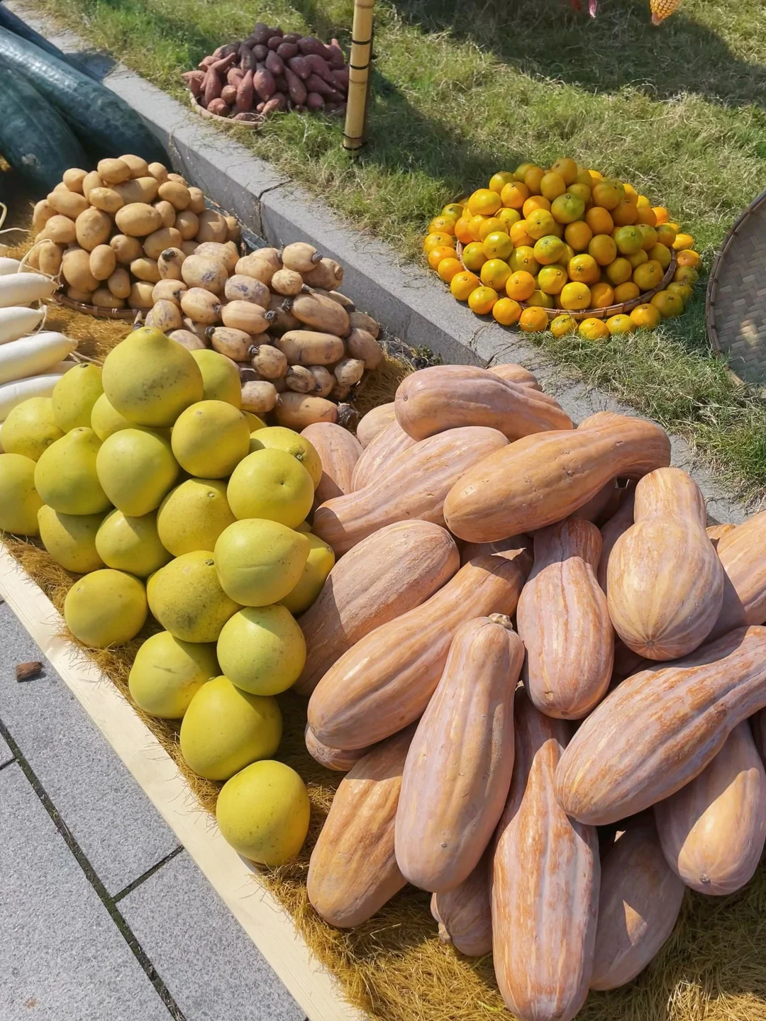 逛逛县城的丰收节