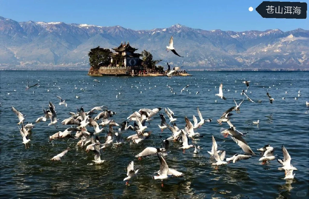 招商推介会浪漫致辞:去有风的地方追风赶月