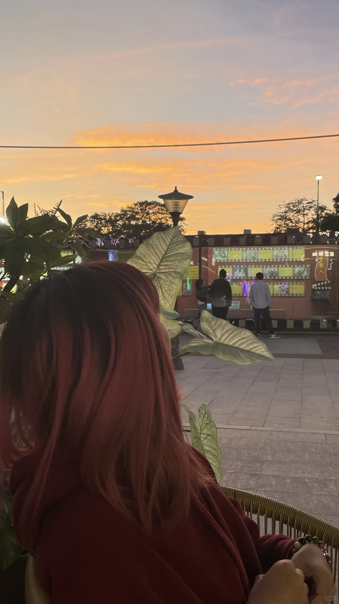 农交会真挺好逛的