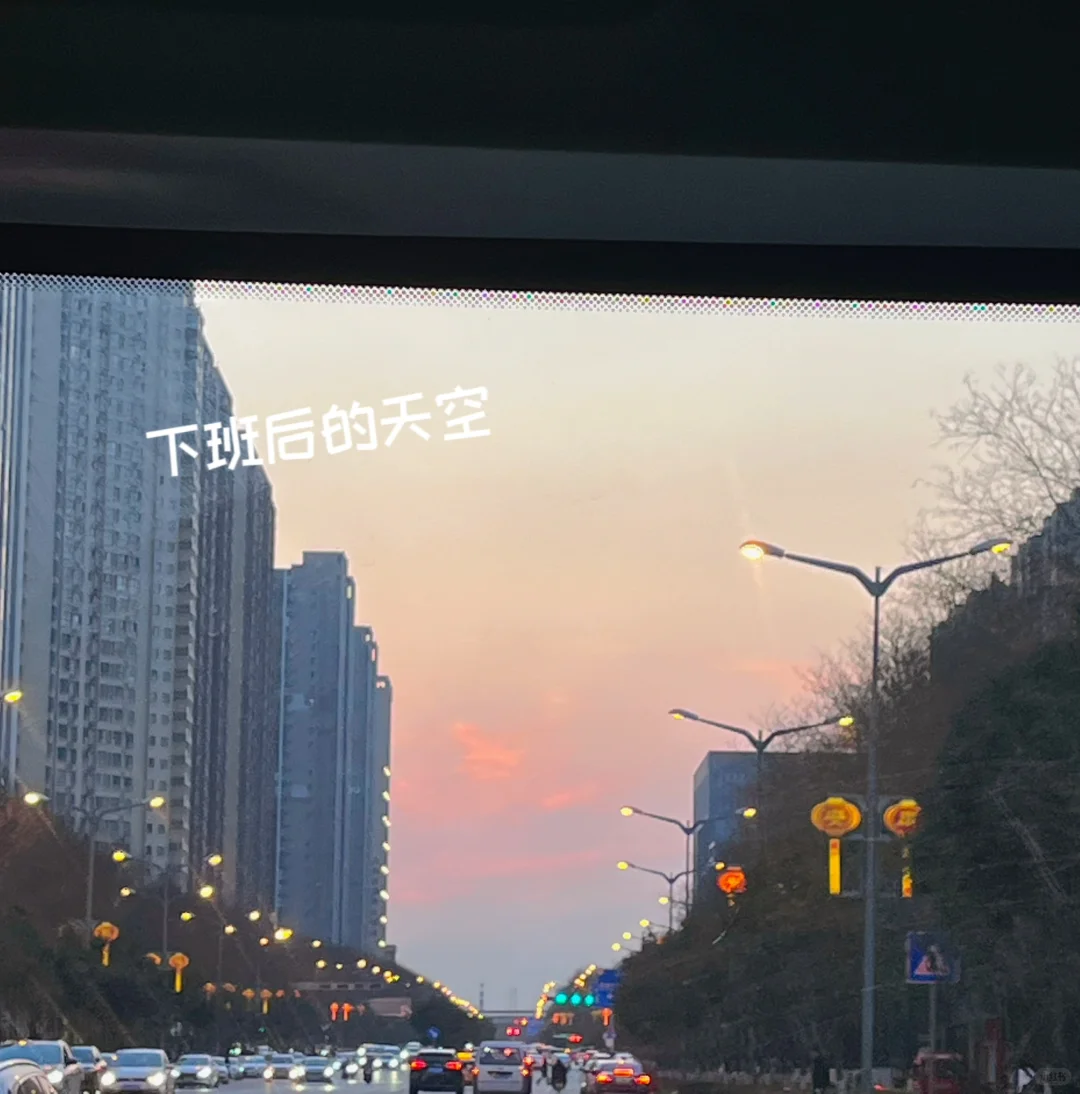 采购日常｜plog