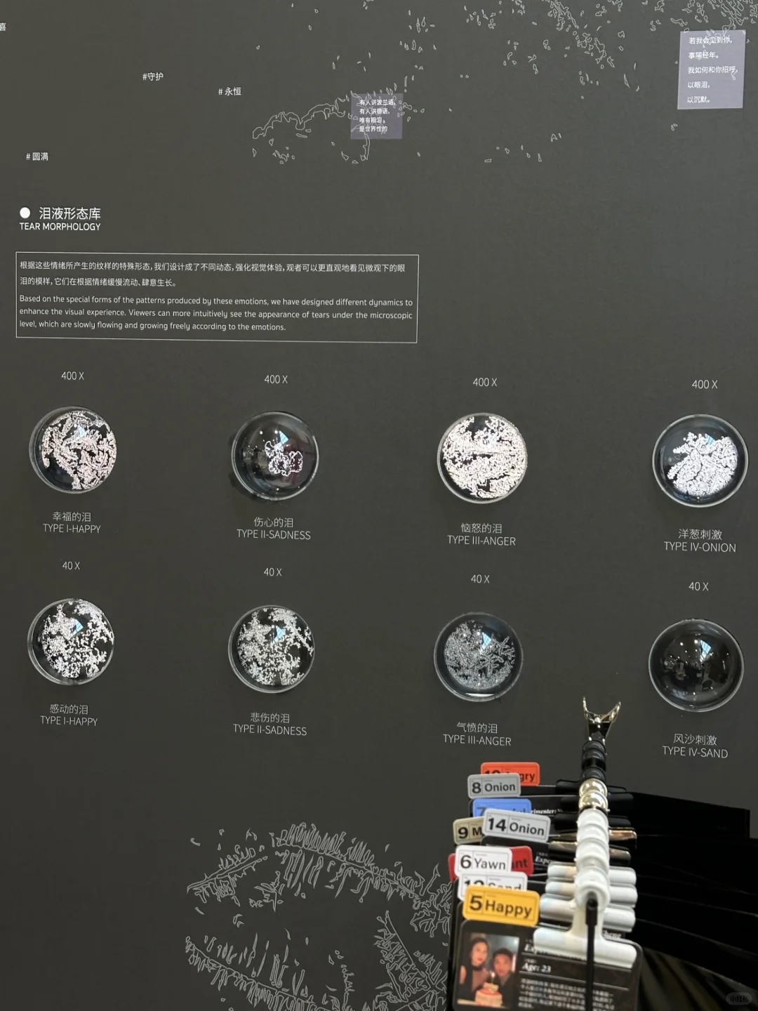 2025中国美院毕业展良渚校区|Ai艺术大赏