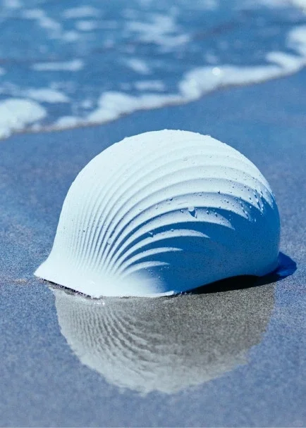 成都免费看展|编织未来·2025可持续设计展