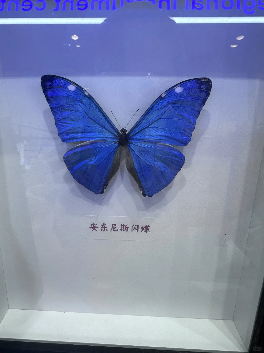 PR逛展| 首次服贸会之旅,满是新鲜和震撼