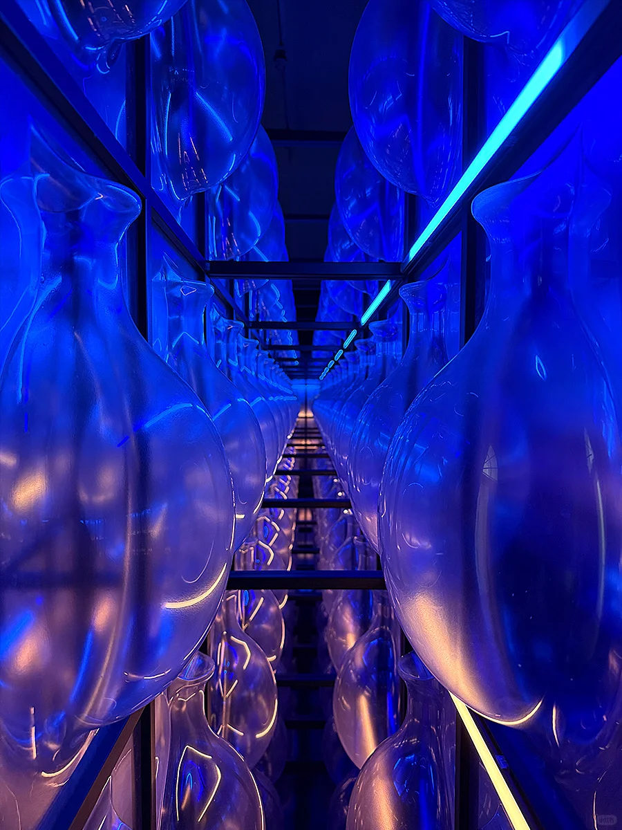 伦敦设计双年展|伦敦六月逛展|萨默塞特宫