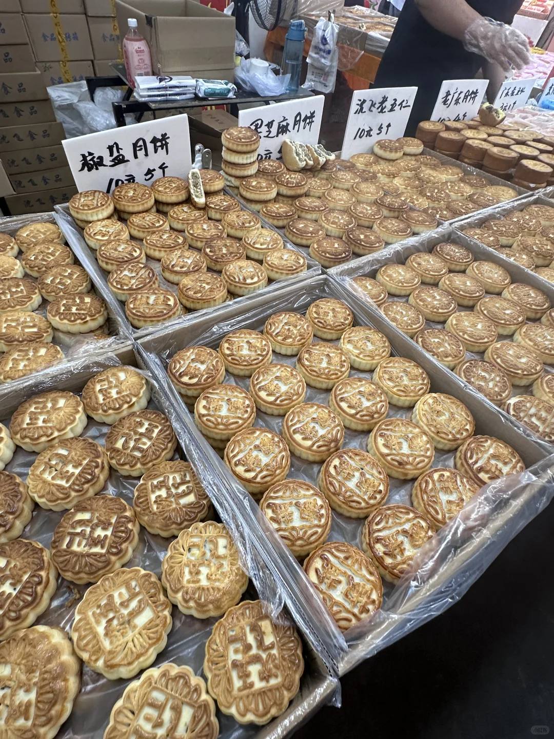 大学生勇闯辽宁工业展览馆版 上?️