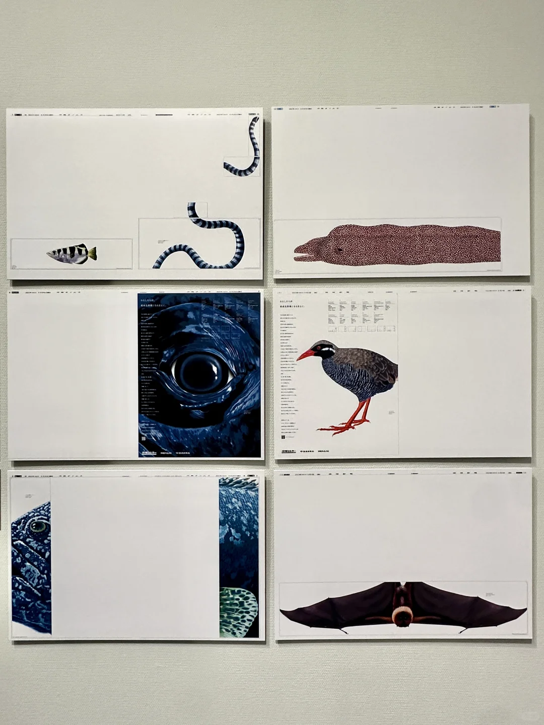 深圳限定展览｜日本设计界奥斯卡200+神作！