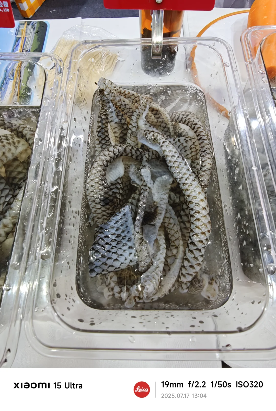 郑州餐饮展