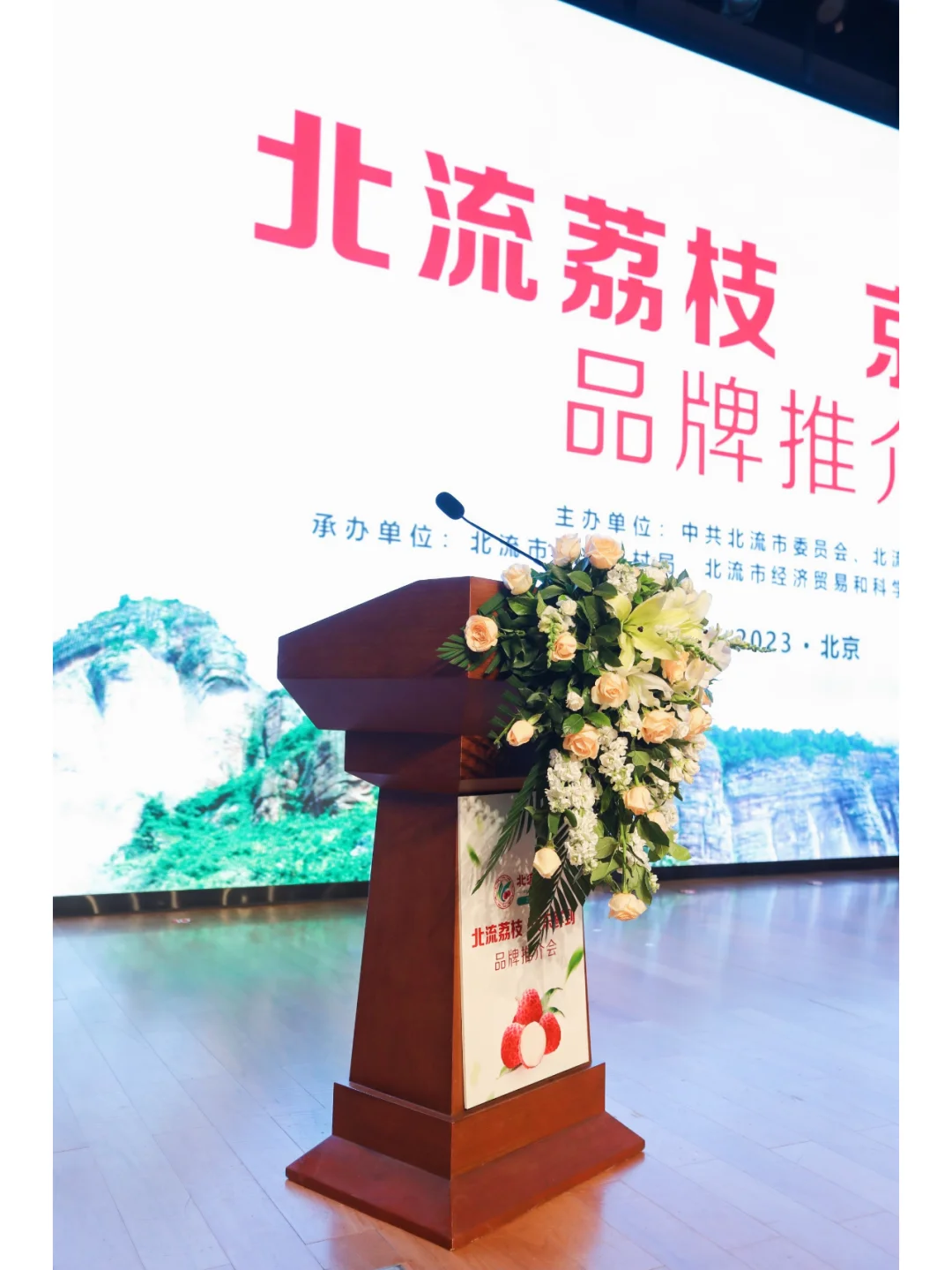 会议分享|京东“北流荔枝”品牌推介会