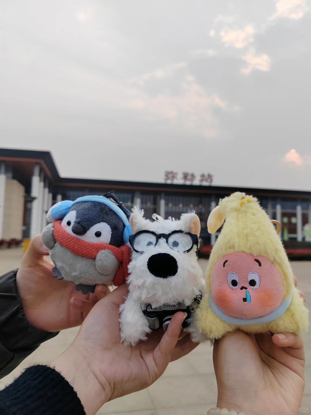 青春弥勒-城市全景推介会?