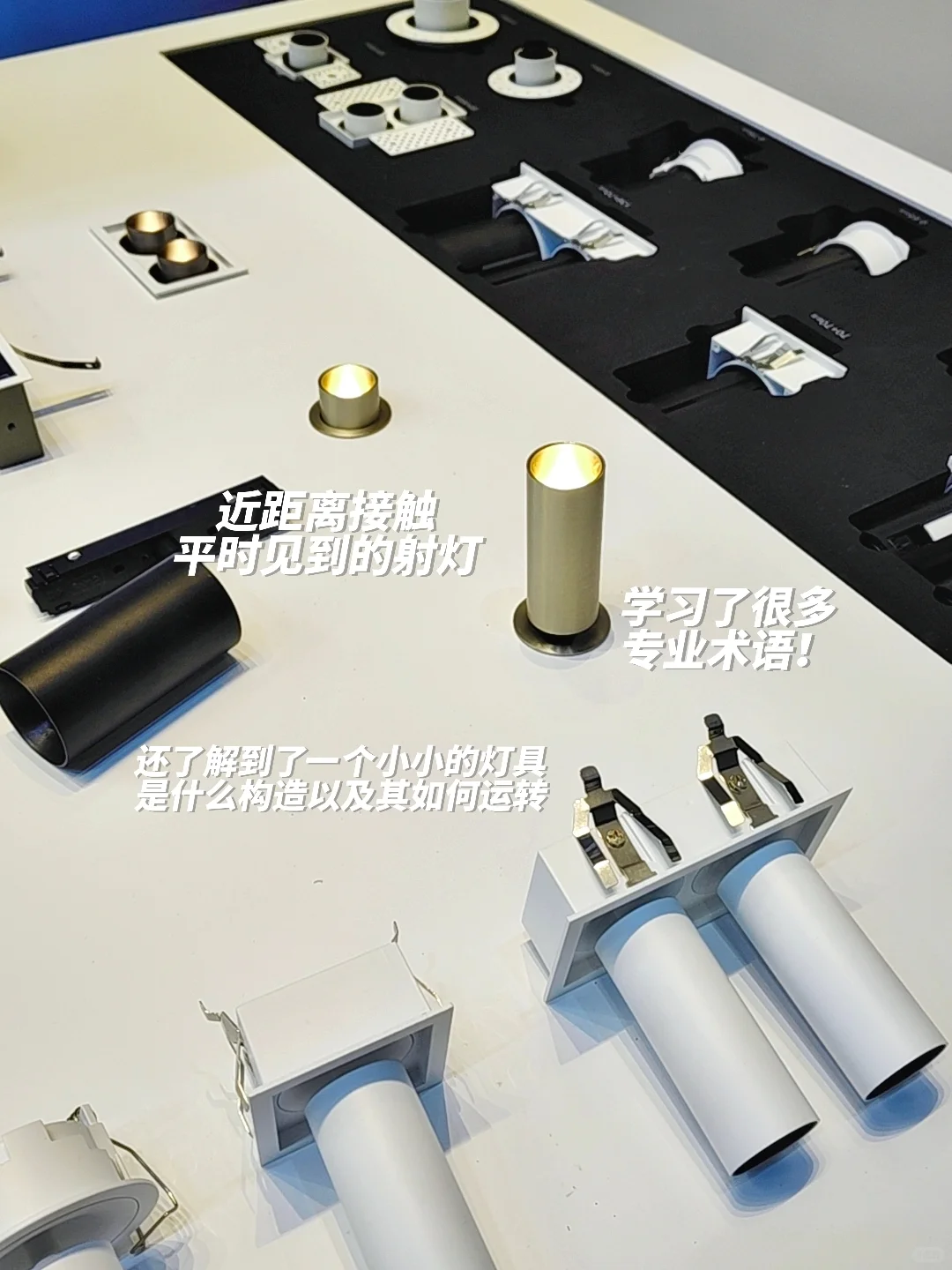 六月｜光亚展?｜04英专｜摊位翻译⭐️