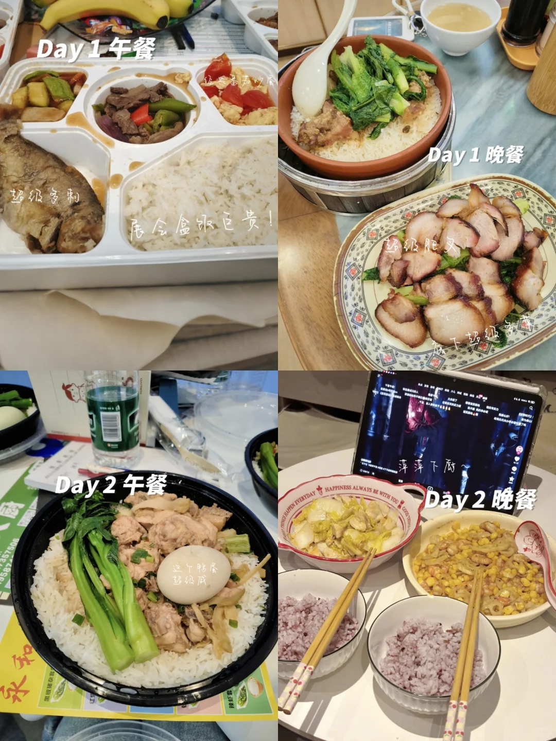 六月｜光亚展?｜04英专｜摊位翻译⭐️