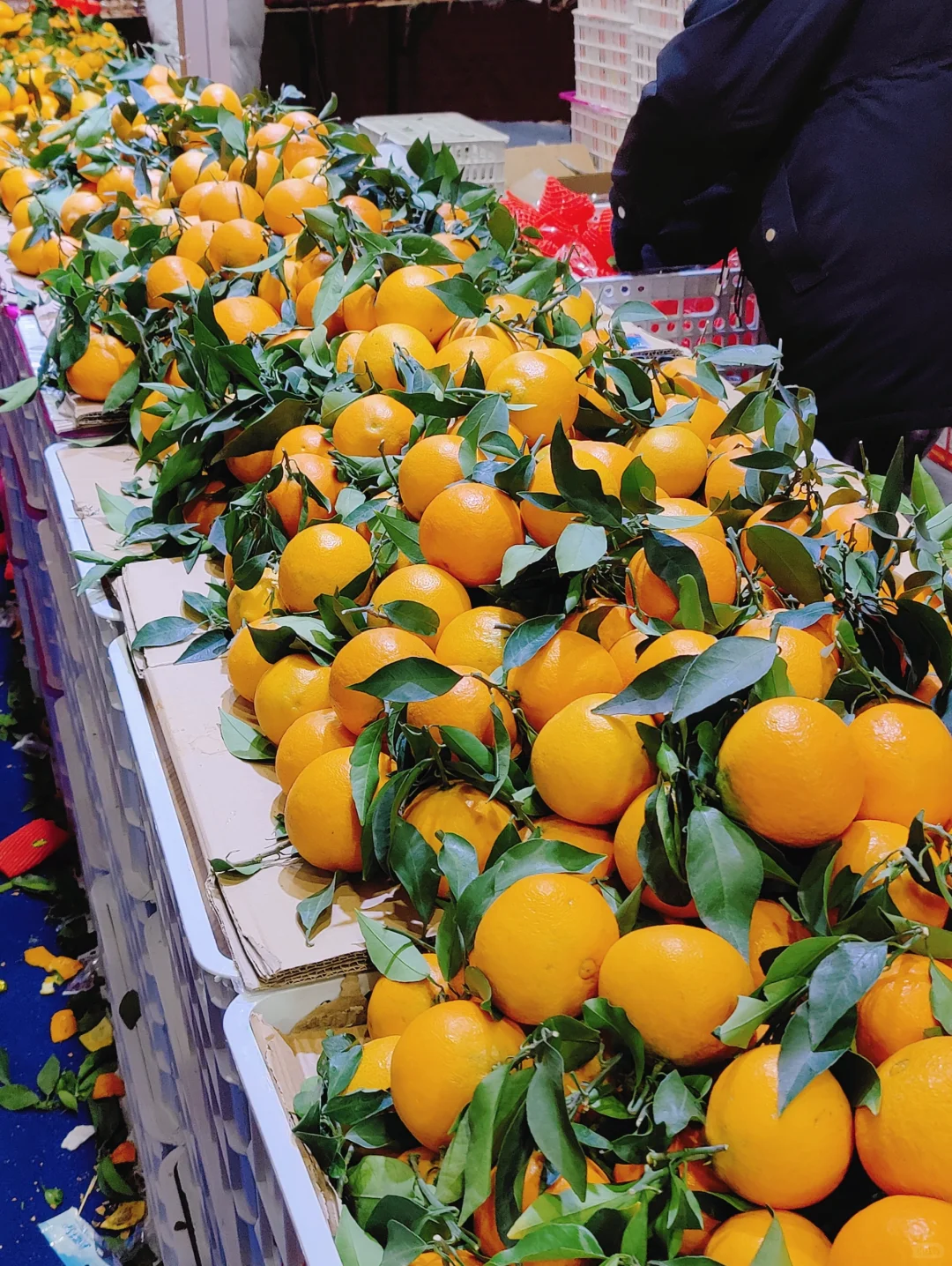 呼市姐妹又来逛展销会啦！