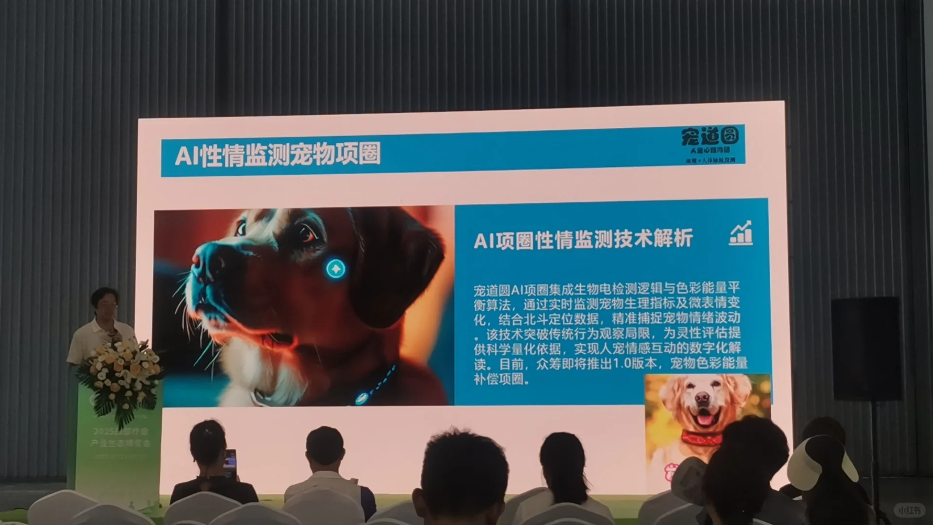 2025深圳第二届疗愈博览会、12月26-28日