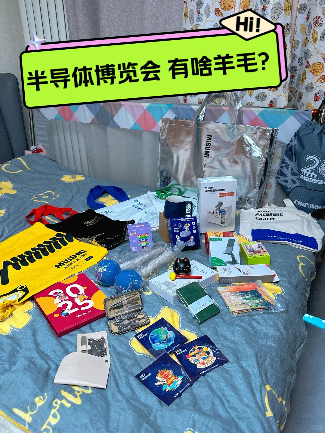 国际半导体博览会 都有啥羊毛？