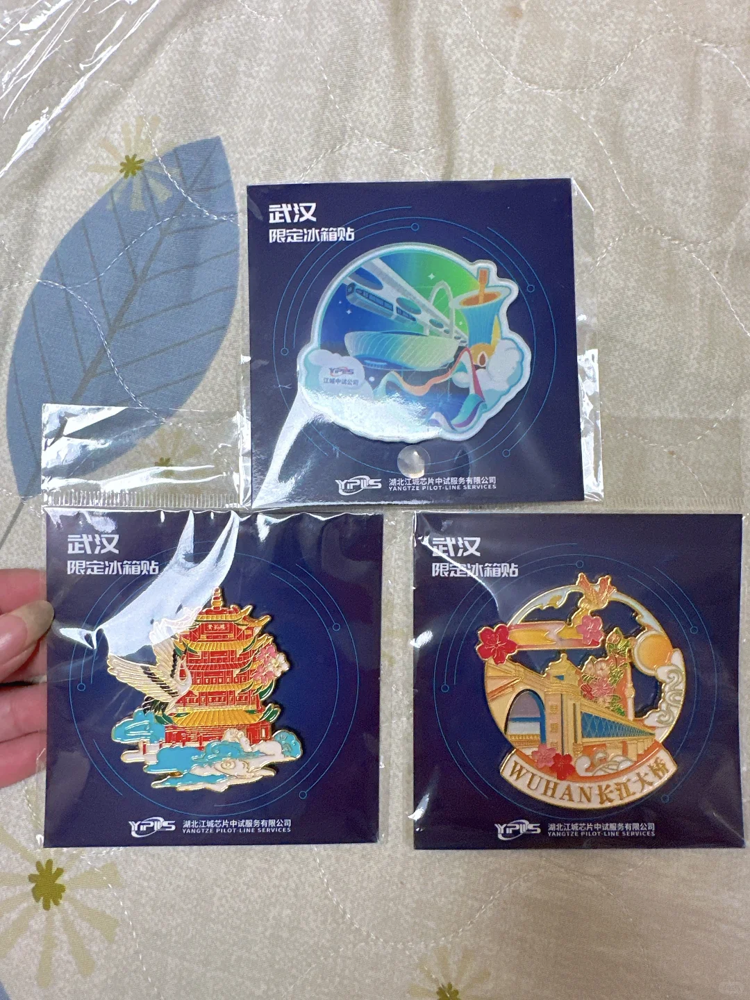 国际半导体博览会 都有啥羊毛？