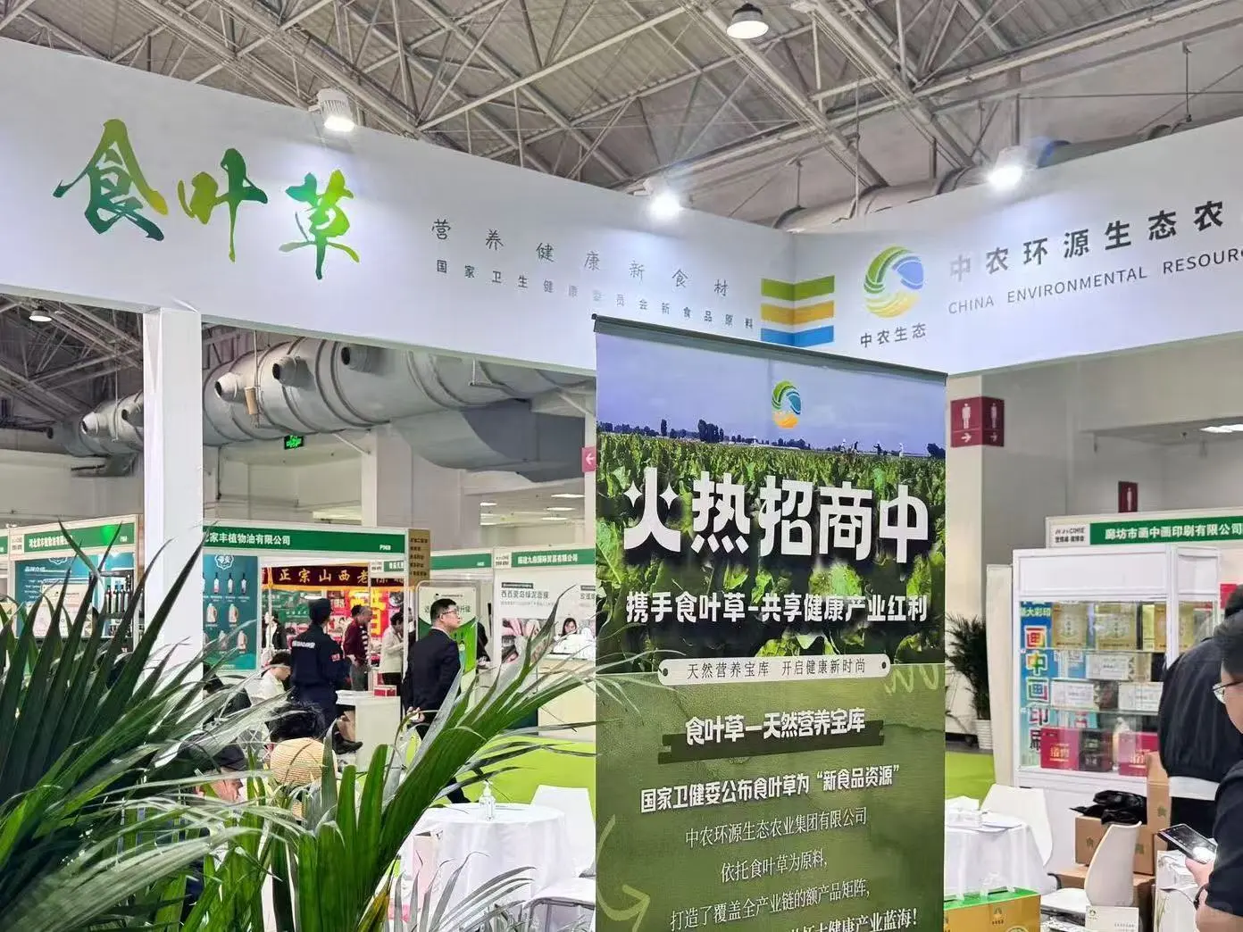 周末啦，来看看中农食叶草产品展会。