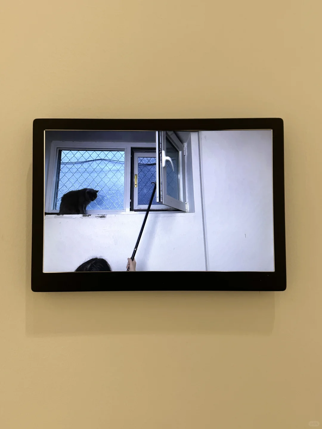 上海近期坠震撼的展……不在机场在博物馆！！！