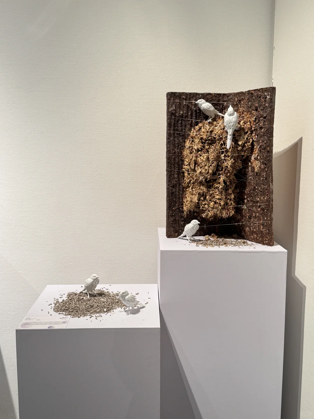 北京新展｜新生·力