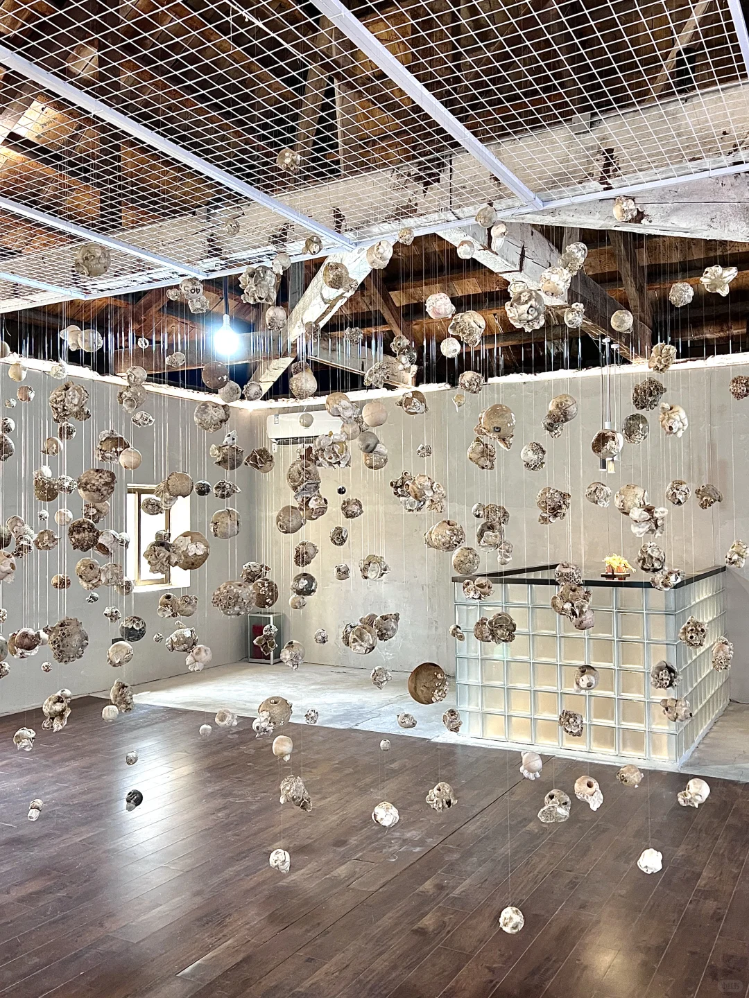 （烟台新展）塑料垃圾变艺术，唤醒环保意识！