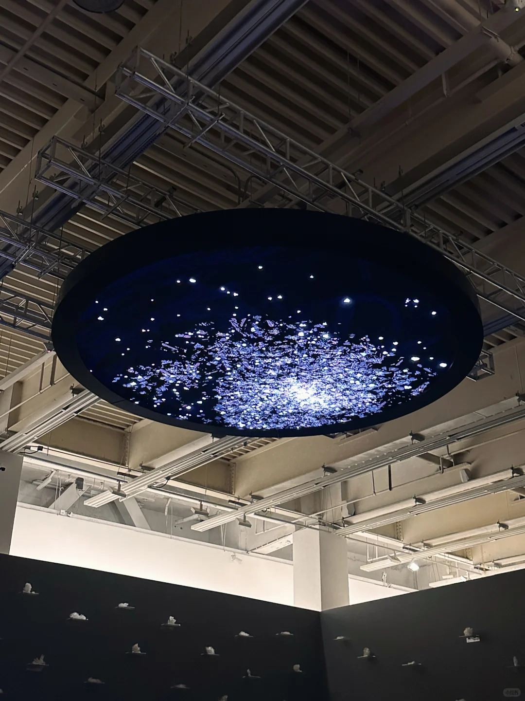 上海近期坠震撼的展……不在机场在博物馆！！！