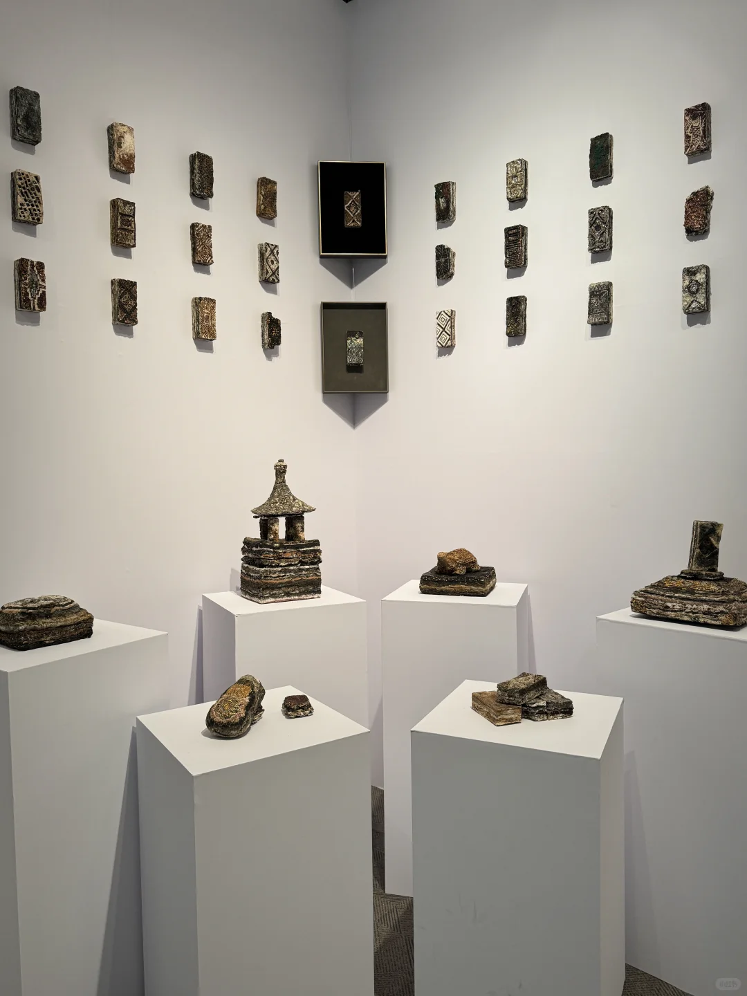 北京新展｜新生·力