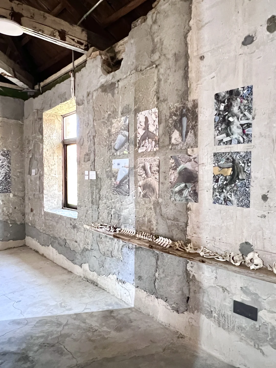 （烟台新展）塑料垃圾变艺术，唤醒环保意识！