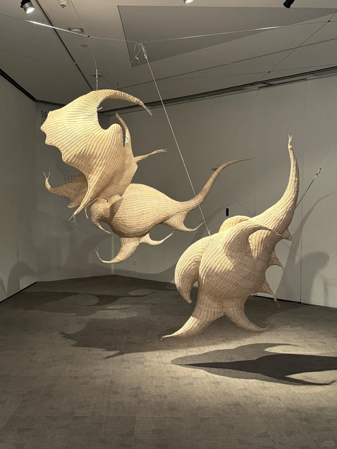 北京新展｜新生·力