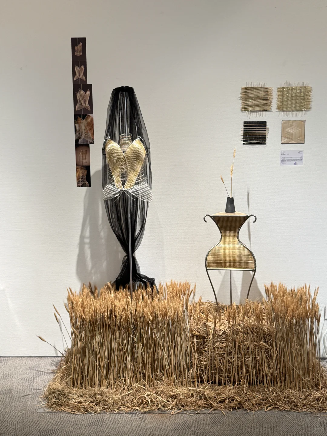 北京新展｜新生·力