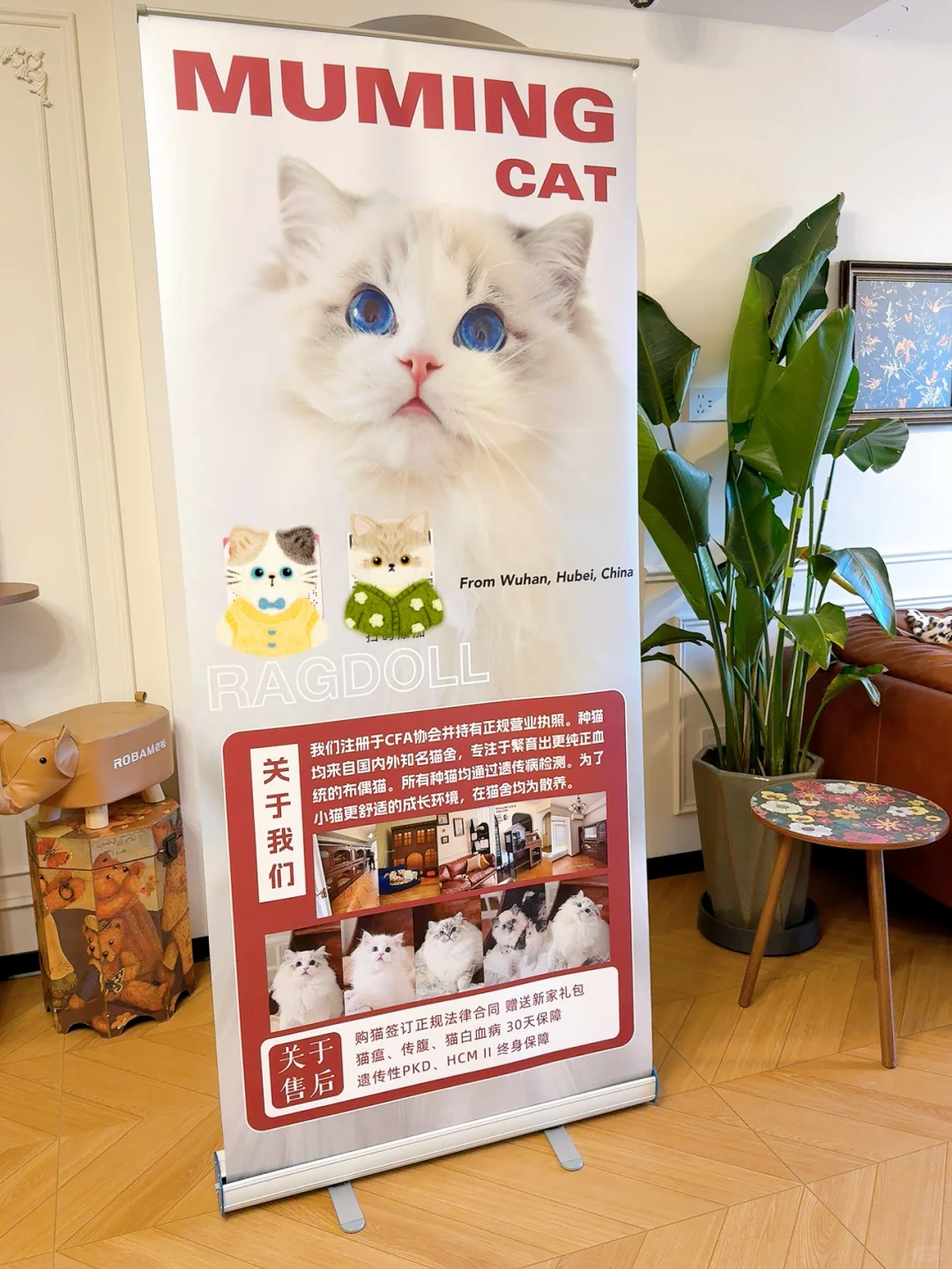 ?参赛倒计时•期待大家来宠物博览会一起玩