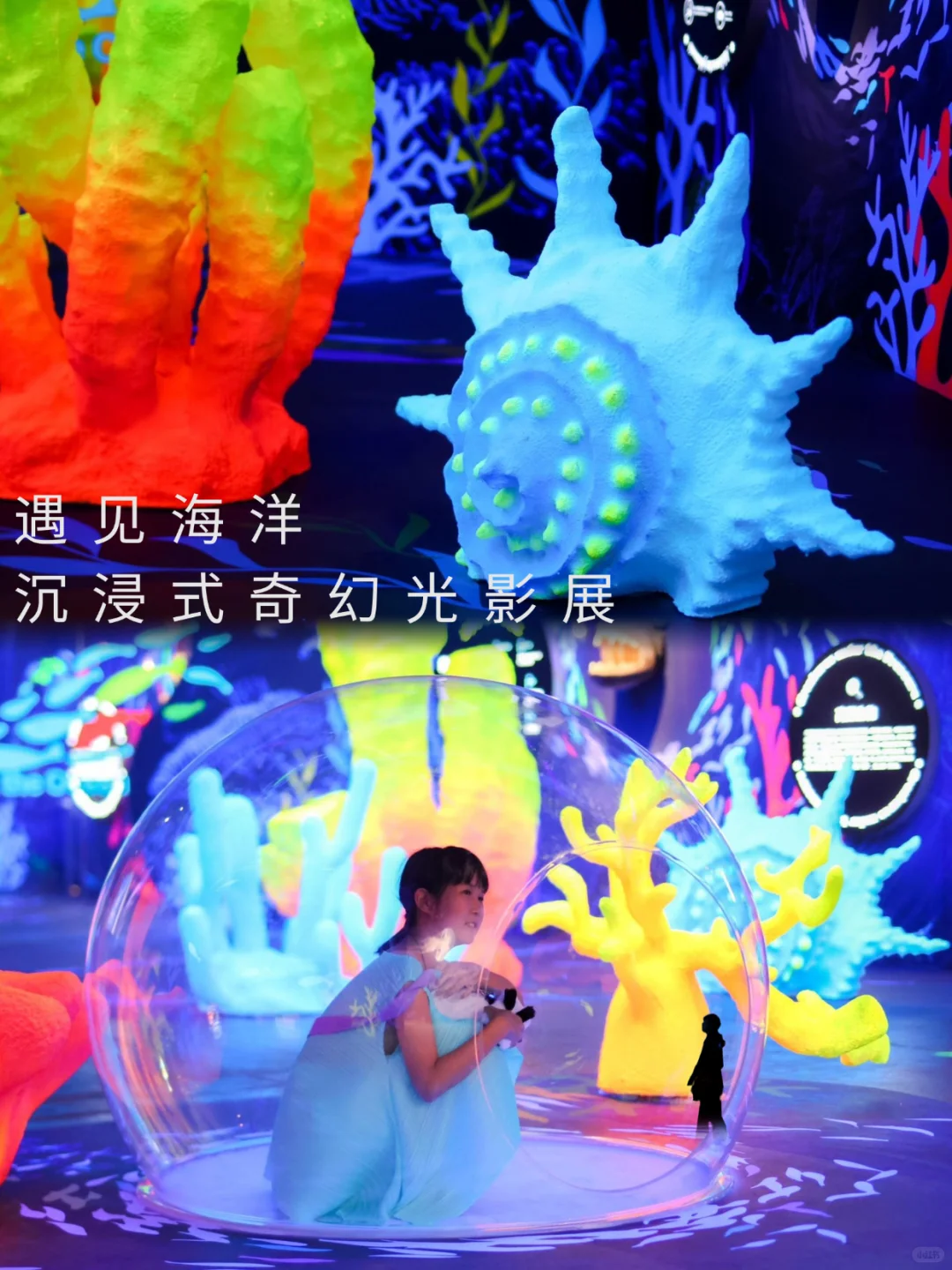 北京新展?这个海洋光影展太适合暑假遛娃啦