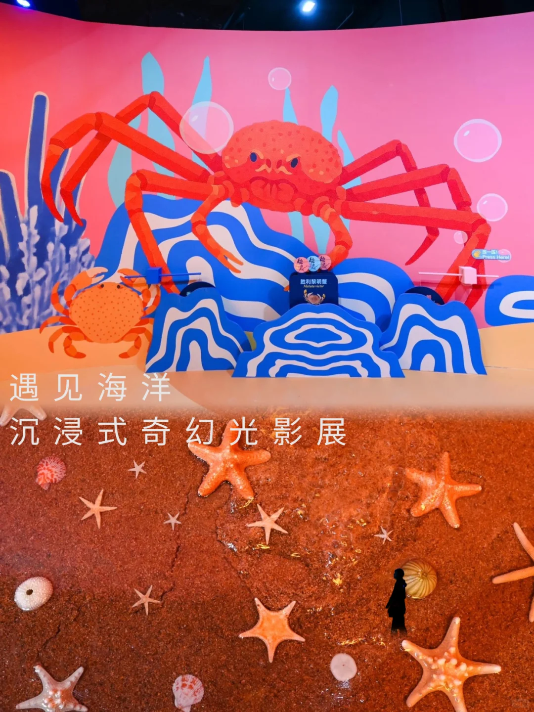 北京新展?这个海洋光影展太适合暑假遛娃啦